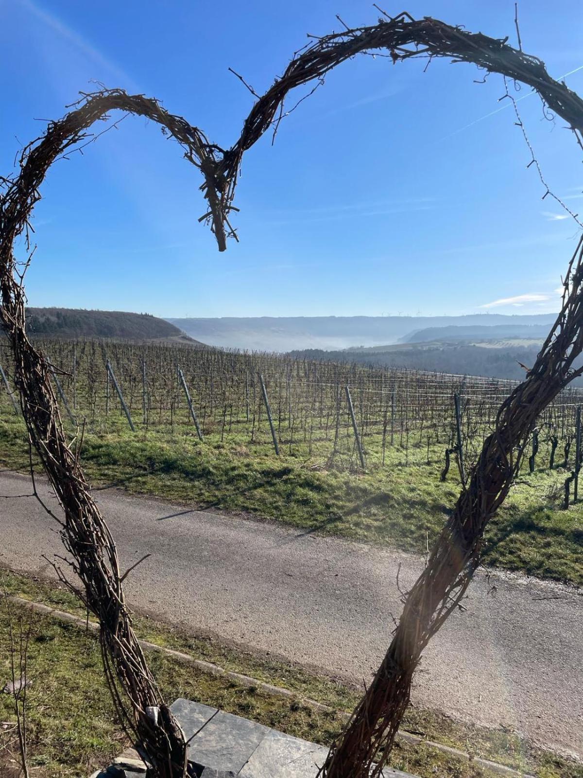 Neue Fewo Mit Schlossblick - Urlaub Im Wein- Und Ferienort Bekond Bagian luar foto